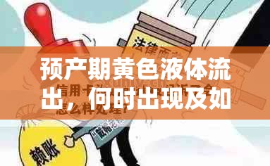 預(yù)產(chǎn)期黃色液體流出，何時出現(xiàn)及如何應(yīng)對的全面指南