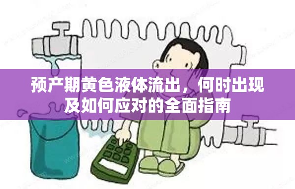 預(yù)產(chǎn)期黃色液體流出，何時出現(xiàn)及如何應(yīng)對的全面指南