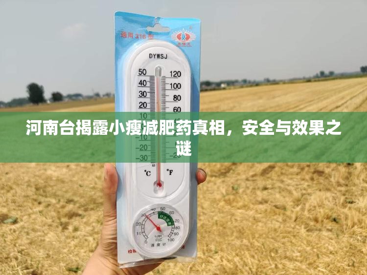 河南臺揭露小瘦減肥藥真相，安全與效果之謎