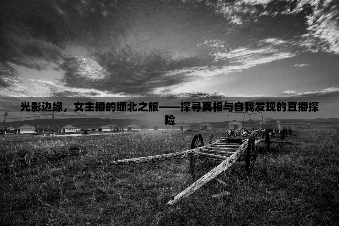 光影邊緣，女主播的緬北之旅——探尋真相與自我發(fā)現(xiàn)的直播探險