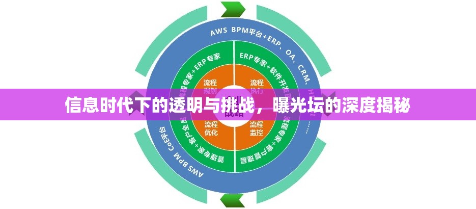 信息時代下的透明與挑戰(zhàn)，曝光壇的深度揭秘