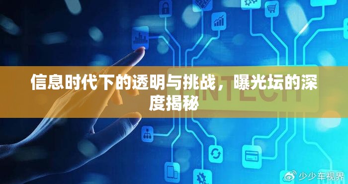 信息時代下的透明與挑戰(zhàn)，曝光壇的深度揭秘