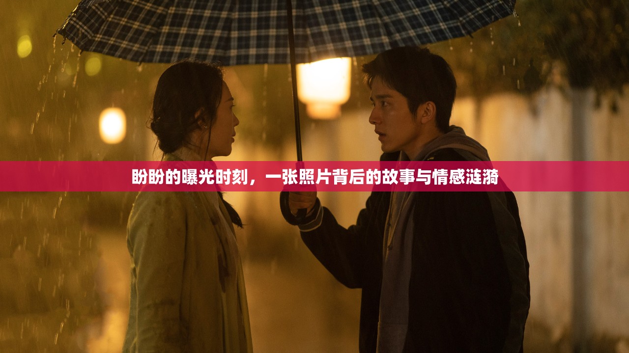 盼盼的曝光時刻，一張照片背后的故事與情感漣漪