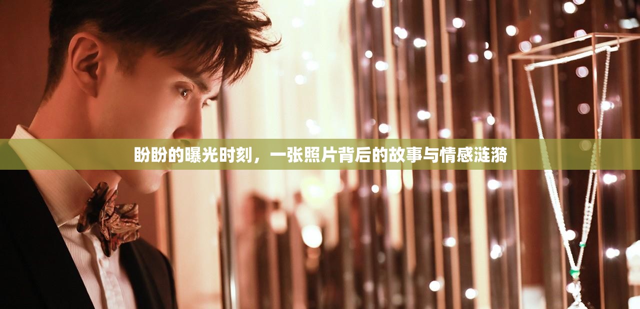 盼盼的曝光時刻，一張照片背后的故事與情感漣漪