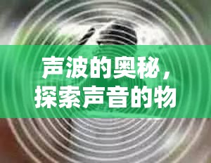 聲波的奧秘，探索聲音的物理與感知