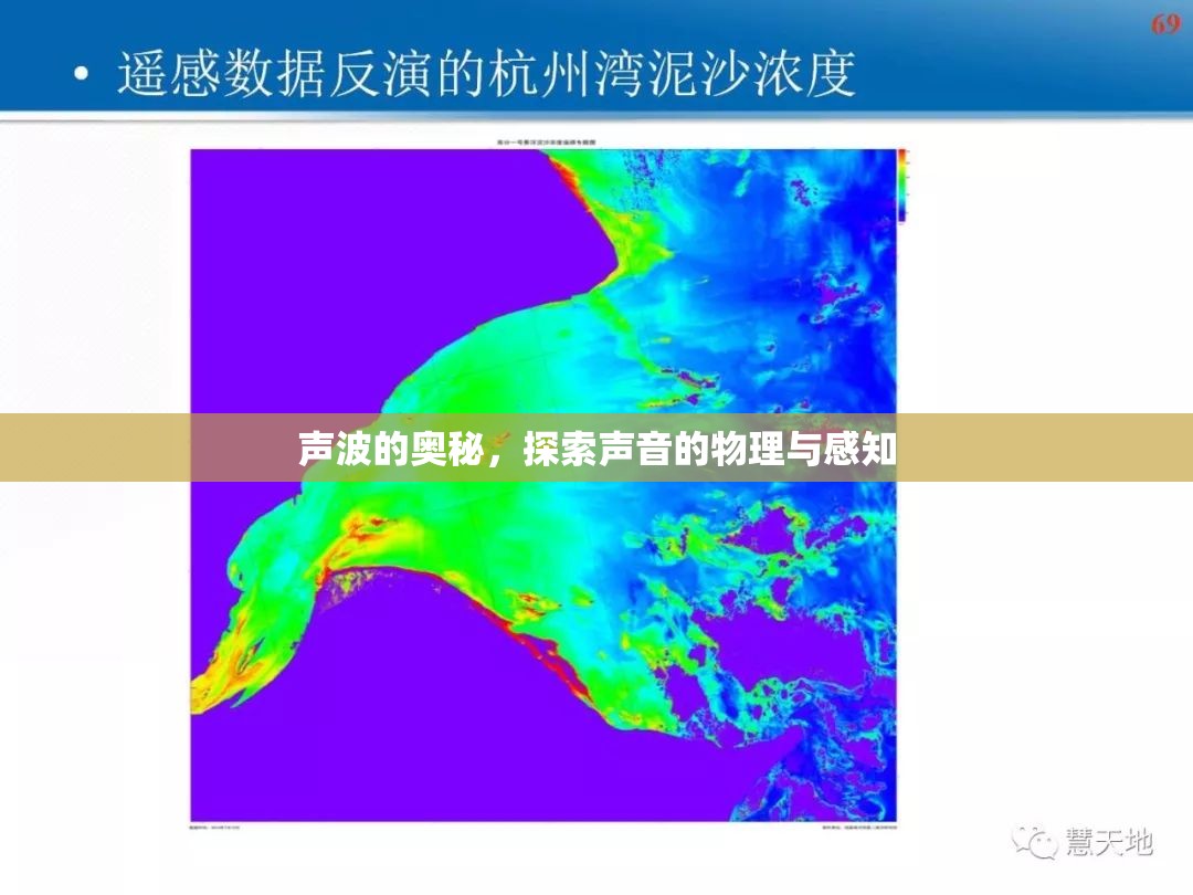 聲波的奧秘，探索聲音的物理與感知