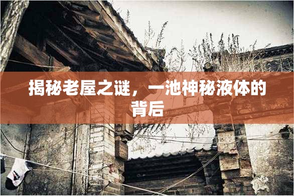 揭秘老屋之謎，一池神秘液體的背后