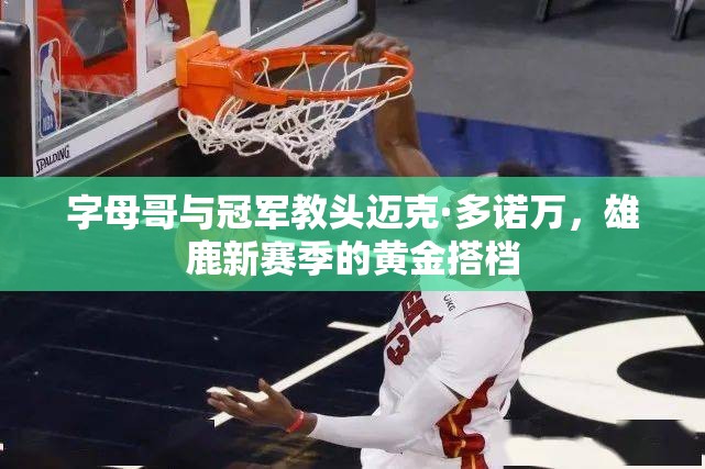 字母哥與冠軍教頭邁克·多諾萬，雄鹿新賽季的黃金搭檔