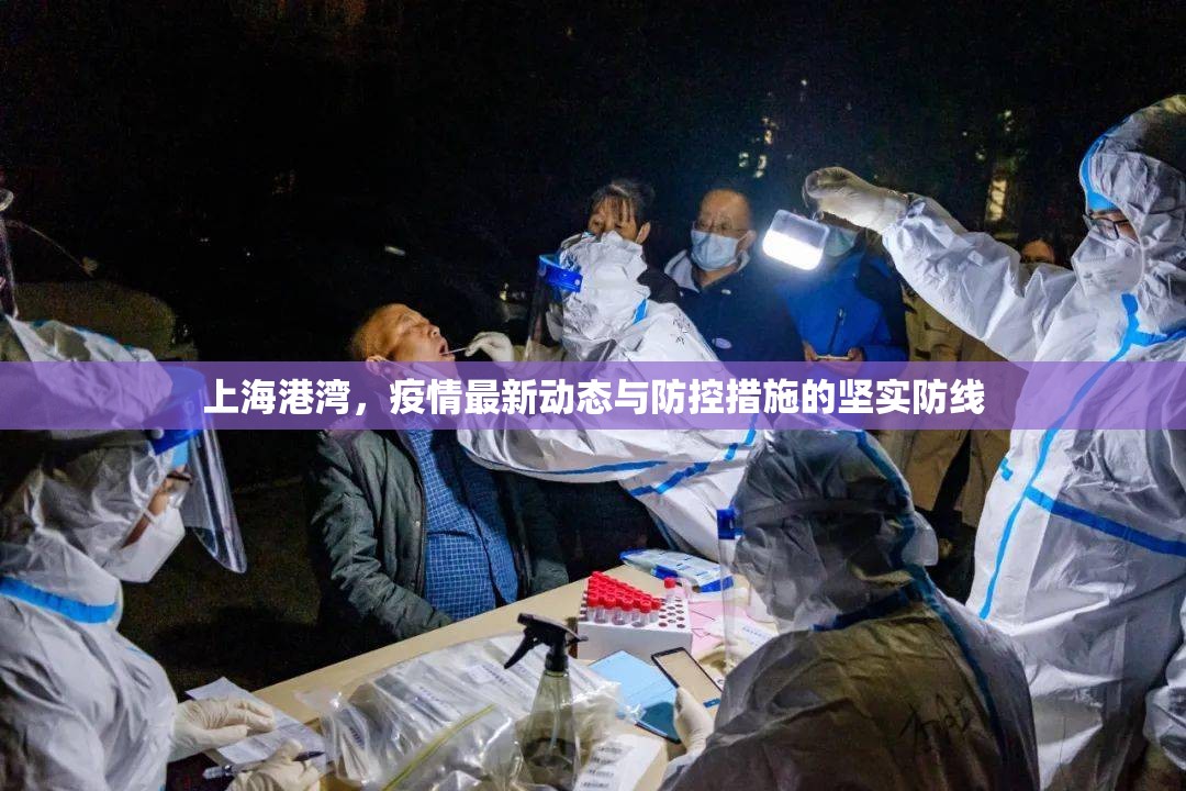 上海港灣，疫情最新動態(tài)與防控措施的堅實防線
