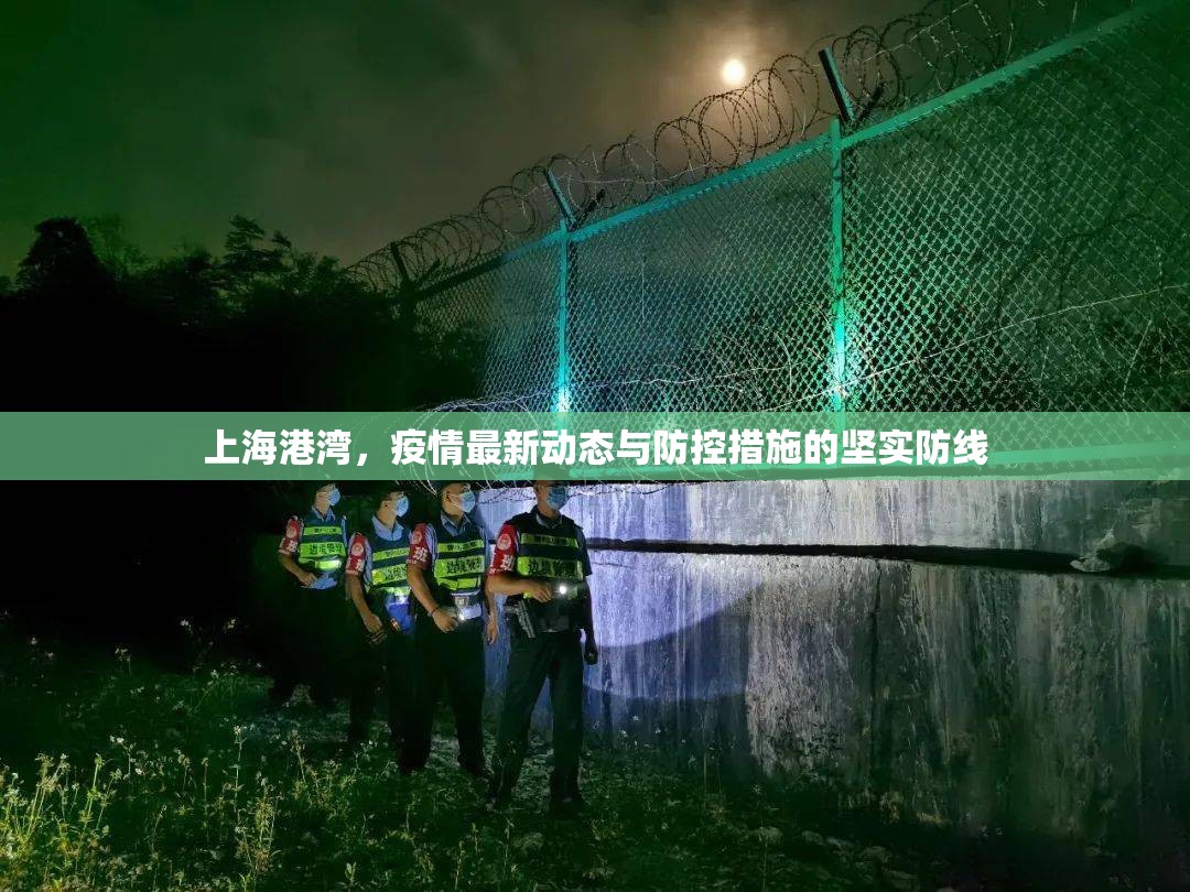 上海港灣，疫情最新動態(tài)與防控措施的堅實防線