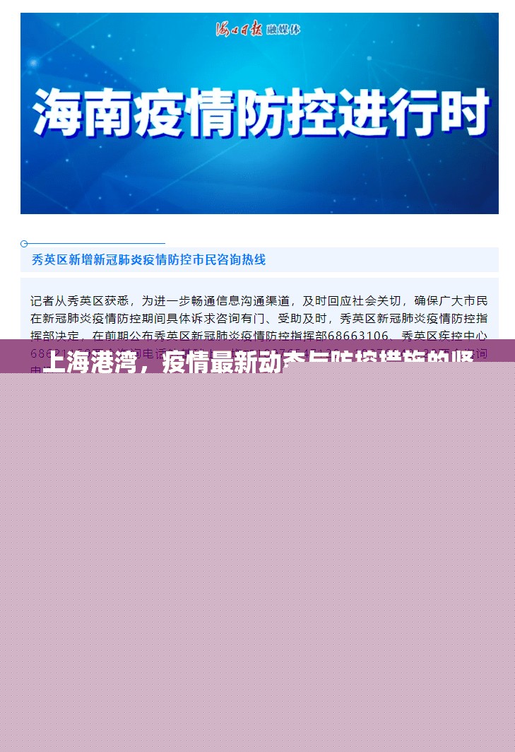 上海港灣，疫情最新動態(tài)與防控措施的堅實防線