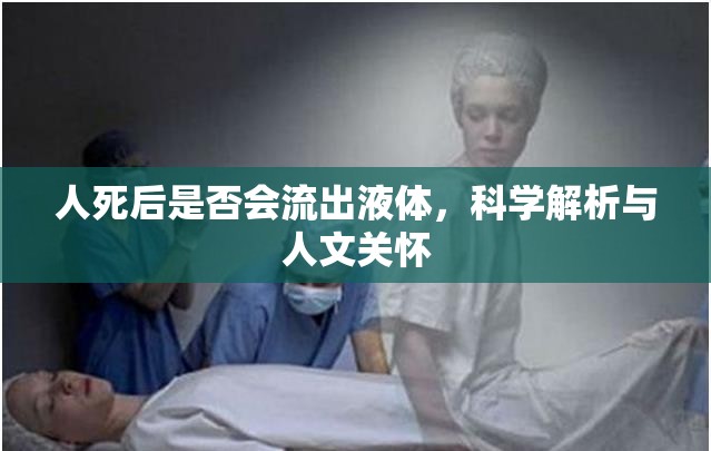 人死后是否會(huì)流出液體，科學(xué)解析與人文關(guān)懷