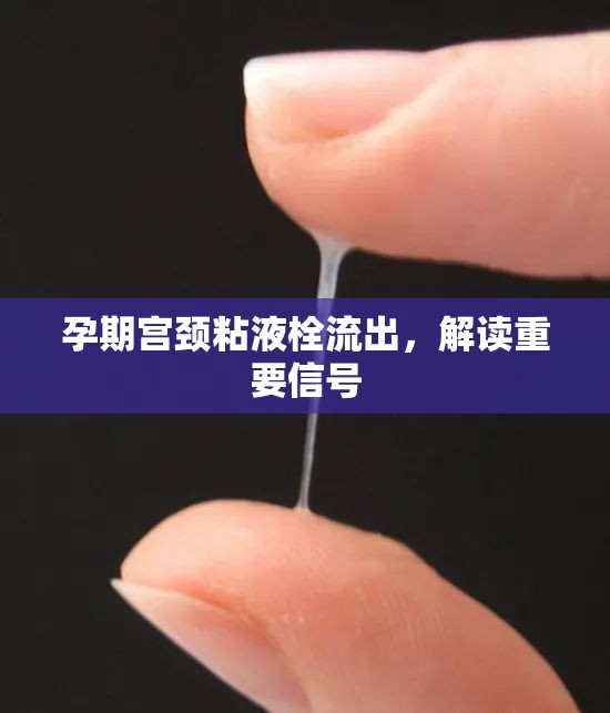 孕期宮頸粘液栓流出，解讀重要信號(hào)
