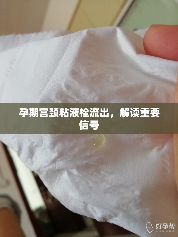 孕期宮頸粘液栓流出，解讀重要信號(hào)