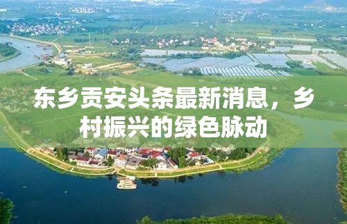 東鄉(xiāng)貢安頭條最新消息，鄉(xiāng)村振興的綠色脈動(dòng)