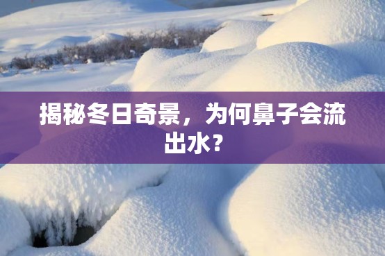 揭秘冬日奇景，為何鼻子會流出水？