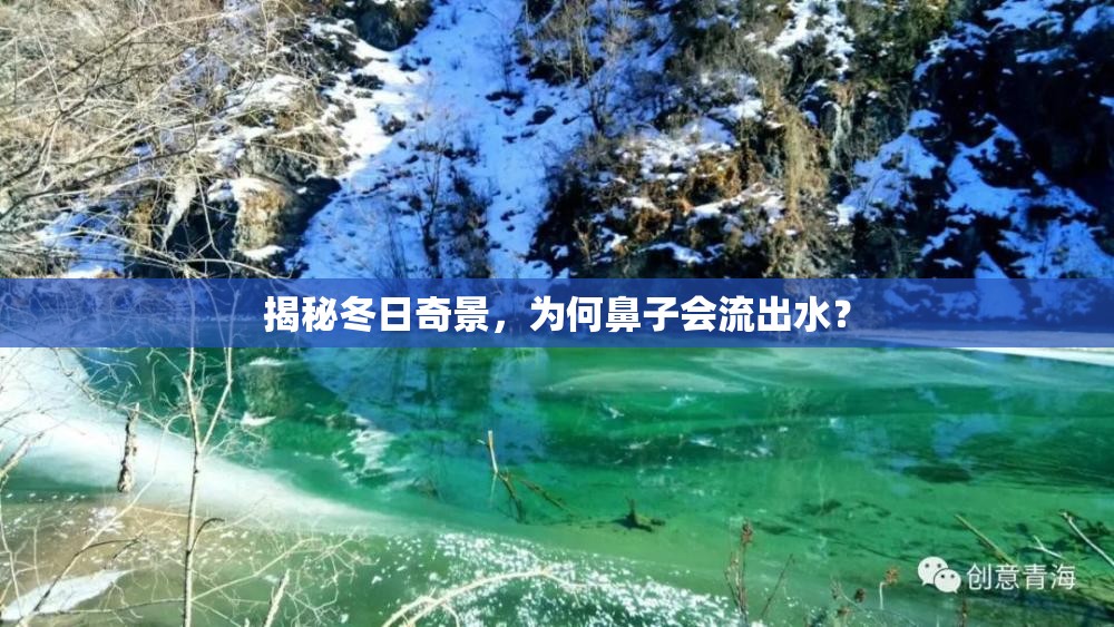 揭秘冬日奇景，為何鼻子會流出水？