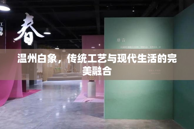 溫州白象，傳統(tǒng)工藝與現(xiàn)代生活的完美融合