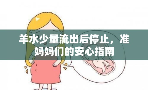 羊水少量流出后停止，準媽媽們的安心指南