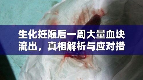 生化妊娠后一周大量血塊流出，真相解析與應(yīng)對(duì)措施