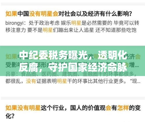 中紀委稅務曝光，透明化反腐，守護國家經(jīng)濟命脈