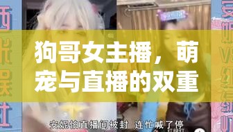 狗哥女主播，萌寵與直播的雙重魅力