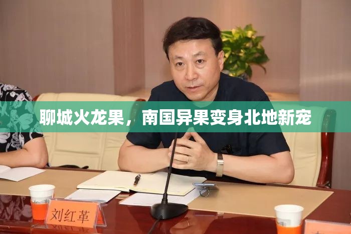 聊城火龍果，南國(guó)異果變身北地新寵