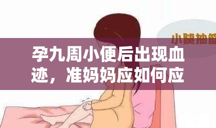 孕九周小便后出現(xiàn)血跡，準(zhǔn)媽媽應(yīng)如何應(yīng)對(duì)？
