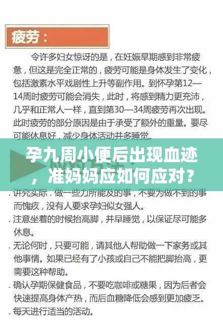 孕九周小便后出現(xiàn)血跡，準(zhǔn)媽媽應(yīng)如何應(yīng)對(duì)？