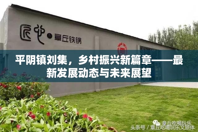 平陰鎮(zhèn)劉集，鄉(xiāng)村振興新篇章——最新發(fā)展動態(tài)與未來展望