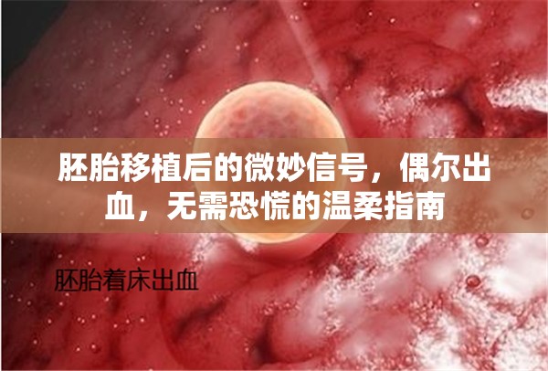 胚胎移植后的微妙信號(hào)，偶爾出血，無(wú)需恐慌的溫柔指南