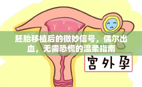 胚胎移植后的微妙信號(hào)，偶爾出血，無(wú)需恐慌的溫柔指南