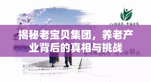 揭秘老寶貝集團，養(yǎng)老產(chǎn)業(yè)背后的真相與挑戰(zhàn)