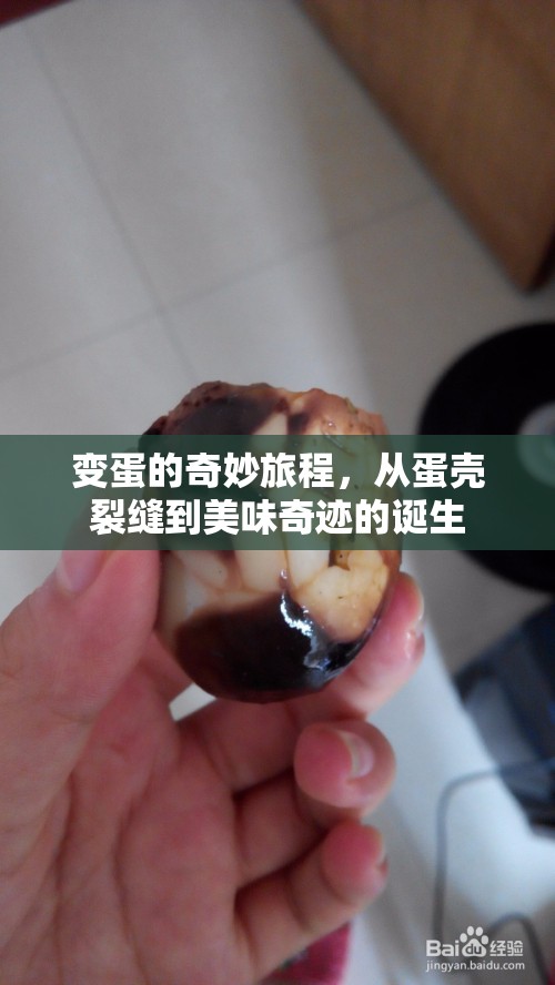 變蛋的奇妙旅程，從蛋殼裂縫到美味奇跡的誕生