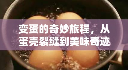 變蛋的奇妙旅程，從蛋殼裂縫到美味奇跡的誕生