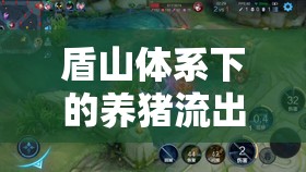盾山體系下的養(yǎng)豬流出裝策略，打造無解的防御與輸出雙刃劍