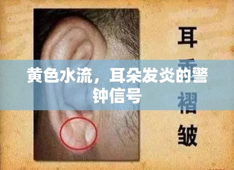 黃色水流，耳朵發(fā)炎的警鐘信號