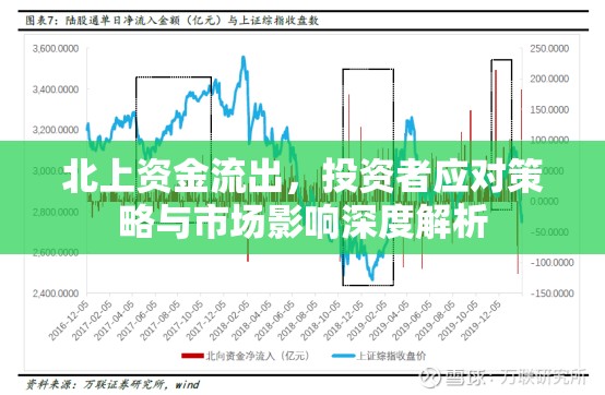 北上資金流出，投資者應(yīng)對策略與市場影響深度解析