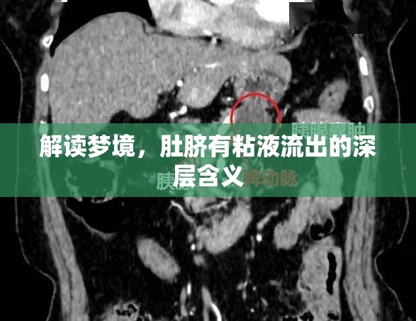 解讀夢境，肚臍有粘液流出的深層含義