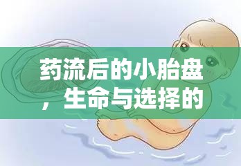 藥流后的小胎盤，生命與選擇的深刻對話