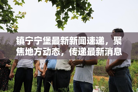 鎮(zhèn)寧寧堡最新新聞速遞，聚焦地方動態(tài)，傳遞最新消息