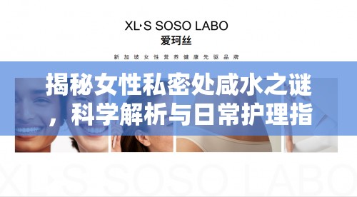 揭秘女性私密處咸水之謎，科學(xué)解析與日常護(hù)理指南