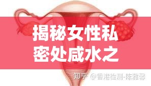 揭秘女性私密處咸水之謎，科學(xué)解析與日常護(hù)理指南