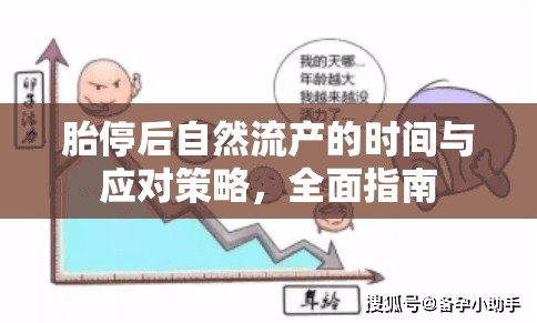胎停后自然流產(chǎn)的時間與應(yīng)對策略，全面指南