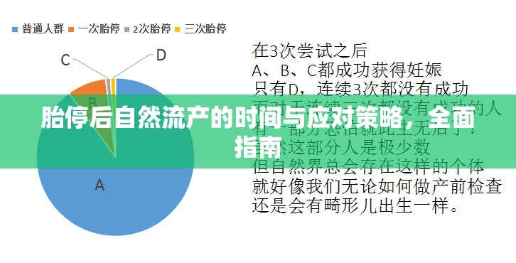 胎停后自然流產(chǎn)的時間與應(yīng)對策略，全面指南