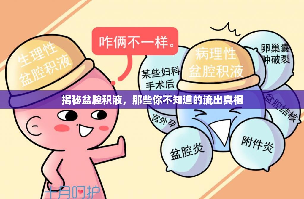 揭秘盆腔積液，那些你不知道的流出真相