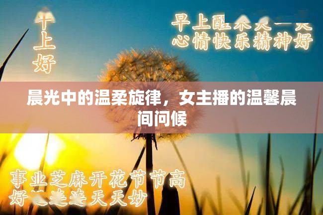 晨光中的溫柔旋律，女主播的溫馨晨間問候