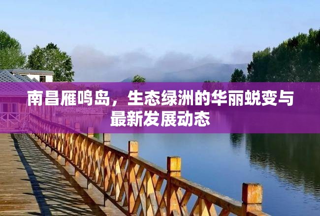 南昌雁鳴島，生態(tài)綠洲的華麗蛻變與最新發(fā)展動(dòng)態(tài)
