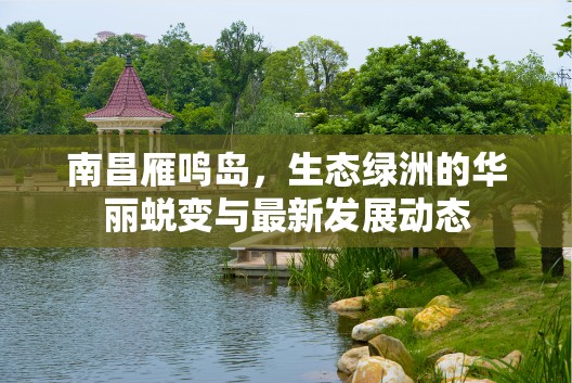 南昌雁鳴島，生態(tài)綠洲的華麗蛻變與最新發(fā)展動(dòng)態(tài)