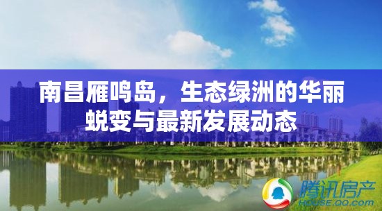 南昌雁鳴島，生態(tài)綠洲的華麗蛻變與最新發(fā)展動(dòng)態(tài)